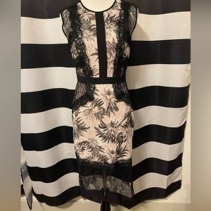 BCBG MAXAZRIA Lace Shawna MIDI Dress